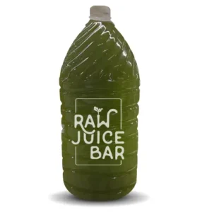 KIWI MOJITO LIMEADE
