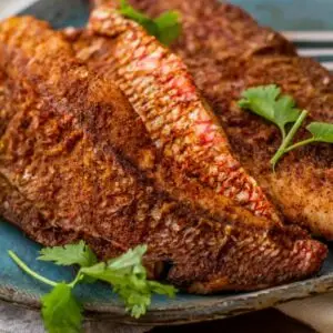 Fried Snapper Fillet